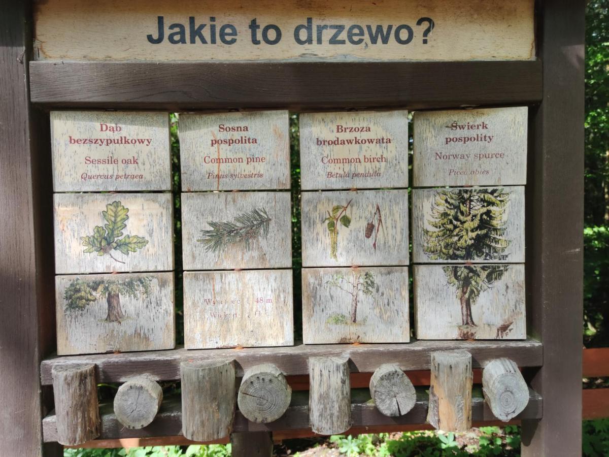 Willa Janina Lądek-Zdrój Dış mekan fotoğraf